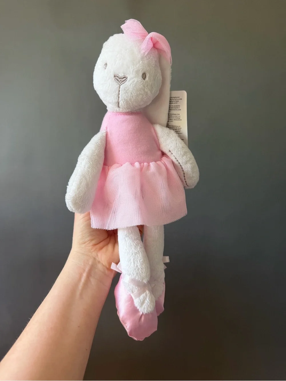 Stuffed animal bundle Teddy Bear & Bunny Ballerina